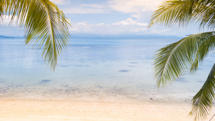 Fototapeta na wymiar Palm tree,sea and sand beach coast line