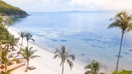 Palm tree,sea and  sand beach coast line