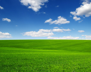 green field and clouds