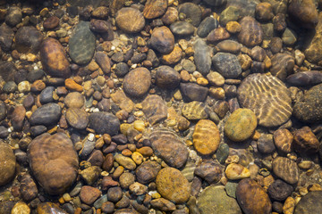 Underwater natur concept background, stone under clear river water background