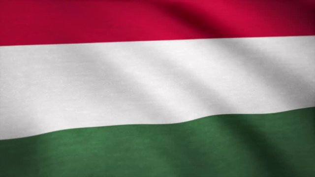 Fabric Flag of Hungary. Flag of Hungary background