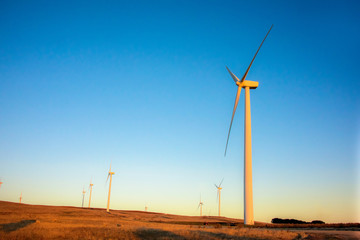 Wind Turbines at sunrise