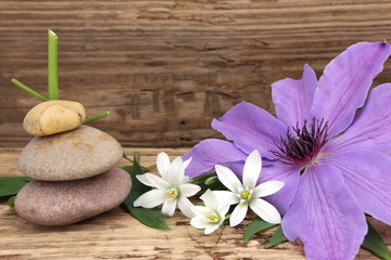 Fototapeta na wymiar Ruhe und Entspannung - zarte Blüten der Clematis und des Milchsterns auf rustikalem Holz