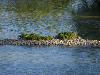 Islote en el río Guadalquivir / Islet on the Guadalquivir River. Córdoba