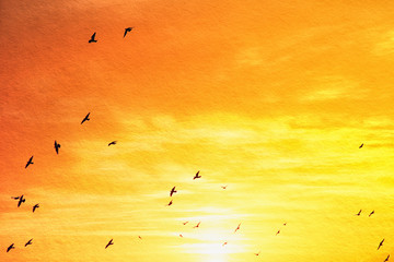 image of abstract clouds and sky with texture. birds flying and sunset colors.