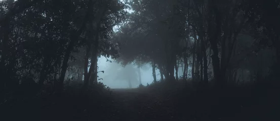 Gordijnen Mist in het bos ochtend Pijnbomen © artrachen