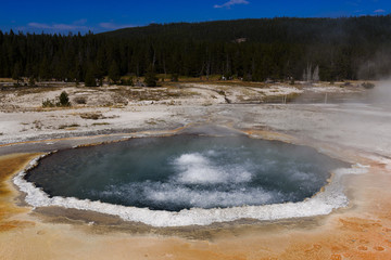Boiling water in crested pool of Yellowstone national park