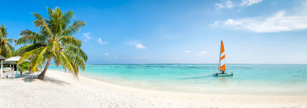 Strand Panorama im Sommer mit Palmen und t&uuml;rkisblauem Meer