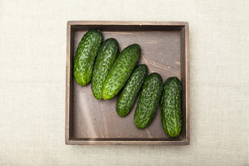 European cucumber diet. Bunch in wooden brown box.
