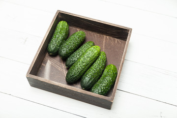 Agriculture cucumber harvest background. Fresh salad.