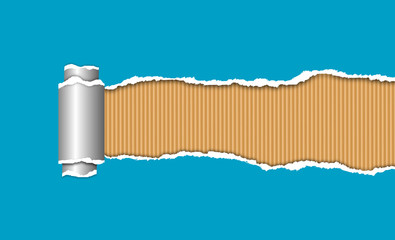 Torn paper, corrugated cardboard