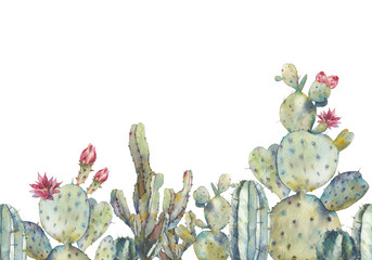 Cotton fabric Watercolor cactus seamless pattern. Hand drawn repeating ornament with desert plants on white background. Flowering cacti banner design