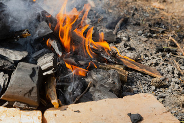 The fire burns in the forest on a bright day