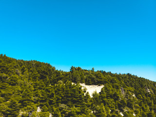 green forest on a mountain with copy space in the sky