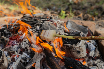 Fry bacon on a stake. Bacon fry on fire. Fat fry in the countryside. Camping in the forest.