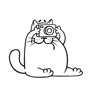 Funny fat cat photographer. Vector illustration