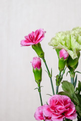 Obraz premium カーネーションの花束