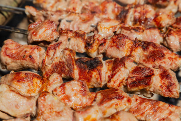 Shish kebab roast on charcoal. Shish kebab on skewers in the forest.