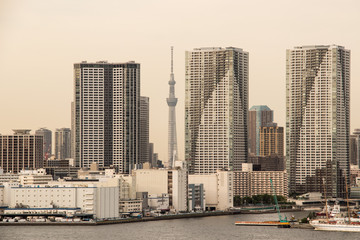 Obraz na płótnie Canvas (東京都ｰ都市風景)ビルの合間のスカイツリー