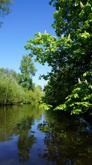 Fototapeta na wymiar Die Bille - Fluss in Hamburg, Gewässer