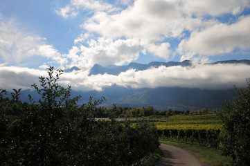 Obraz premium Südtirol Berge Gebirge