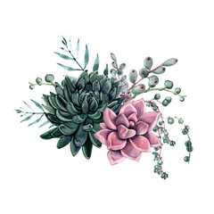 Watercolor succulent bouquet. Isolated on white background.