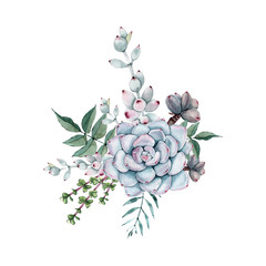 Watercolor succulent bouquet. Isolated on white background.