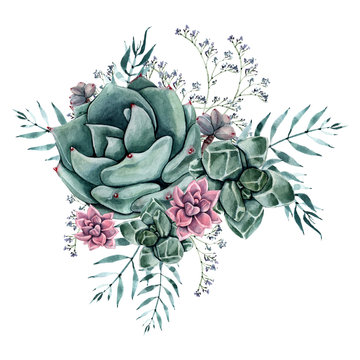 Watercolor Succulent Bouquet. Isolated On White Background.