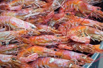 red grilled shrimps lie on a plate