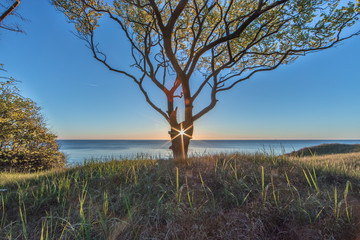 Fototapeta premium traumküste ostsee