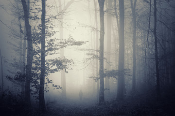 mysterious woods landscape with man in fog