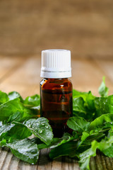Cosmetic oil from arugula on an old wooden table.