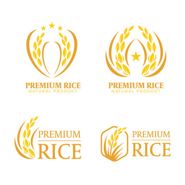 Yellow and brown paddy rice premium organic natural product banner logo sign vector design