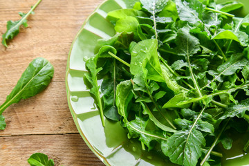 Fresh green home arugula leaves, rucola. Salad.