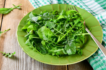 Fresh green home arugula leaves, rucola. Salad.