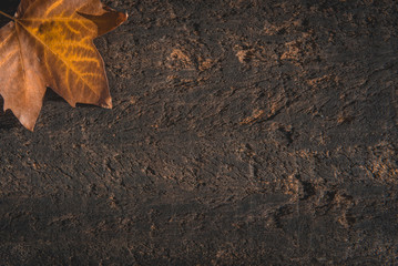 dried autumn leaves on aged wooden background with writing space