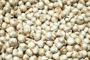 Pile of raw whole garlic background. Many garlic bulbs for sale at a food market
