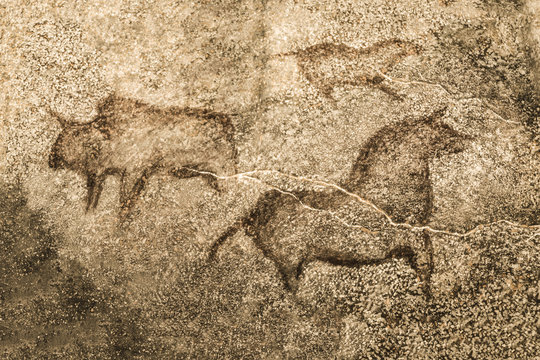 An image of ancient animals on the wall of the cave. archeology. ancient history. drawings of an ancient person