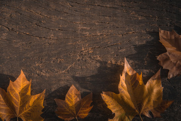 dried autumn leaves on aged wooden background with writing space