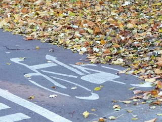 CARRIL BICI EN OTOÑO