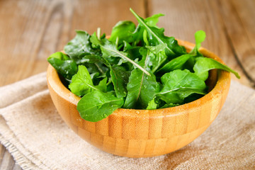 Fresh green home arugula leaves, rucola. Salad.