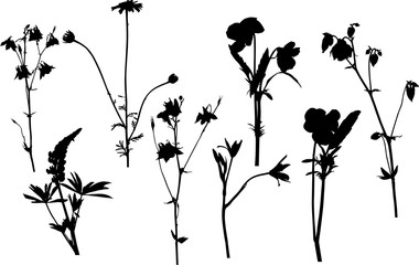 set of eight garden flower silhouettes on white