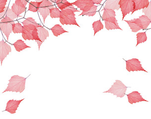 isolated red leaves branches half frame
