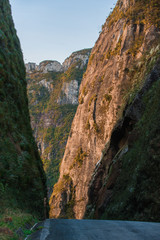 "Serra do Corvo Branco", south of the state of Santa Catarina Brazil. Chain of mountains with altitudes between 1400 to 1900 meters.