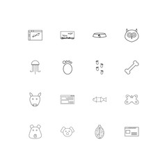 Animals linear thin icons set. Outlined simple vector icons