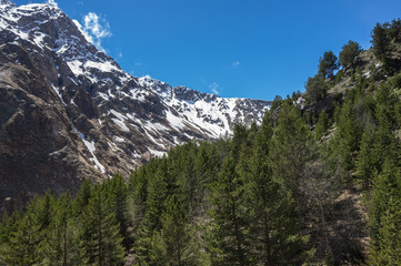 Fototapeta premium Caucasus mountains in Russia