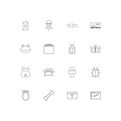 Animals linear thin icons set. Outlined simple vector icons