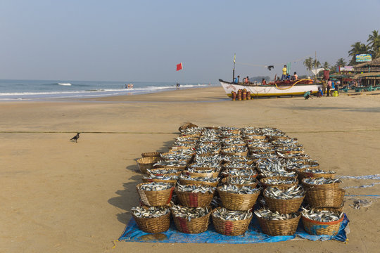 India, Goa, Colva beach