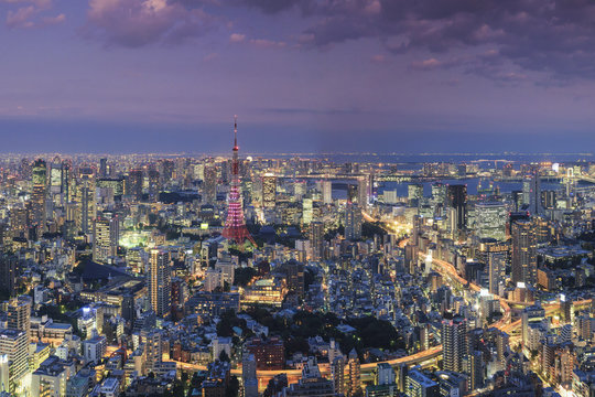 Aerial view of illuminated cityscape and Tokyo Tower at night
