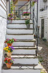 Stairs with violets in pots in a alley